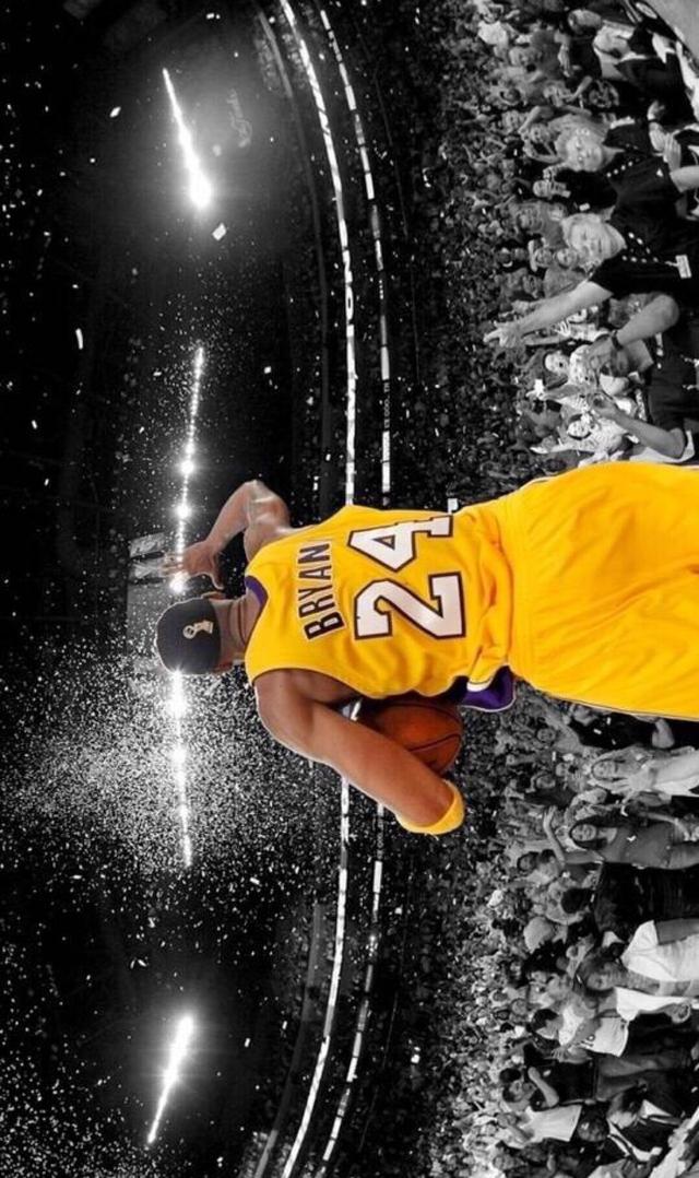 高度可见的 高度可见的